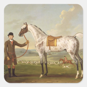 Scipio, Colonel Roche's Spotted Hunter, c.1750 (oi Square Sticker