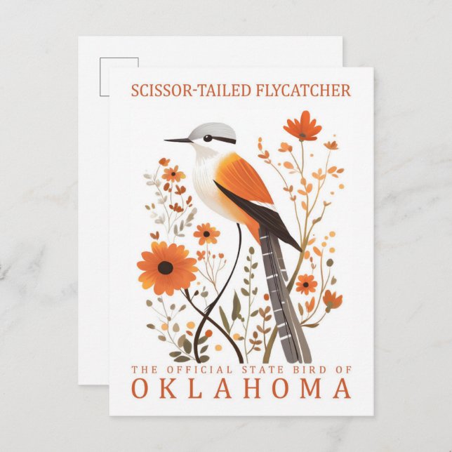 Scissor Tailed Flycatcher Bird of Oklahoma Postcard (Front/Back)