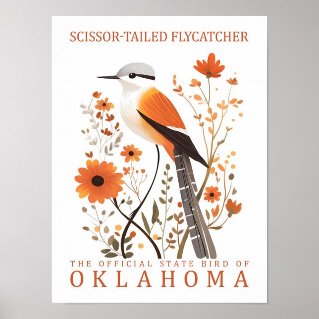 Scissor Tailed Flycatcher Bird of Oklahoma Poster (Front)