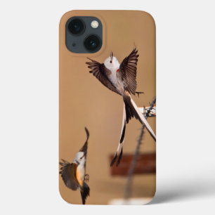 Scissor-Tailed Flycatchers (Tyrannus Forficatus) iPhone 13 Case