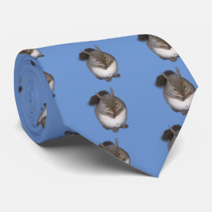 Sciurus lis tie