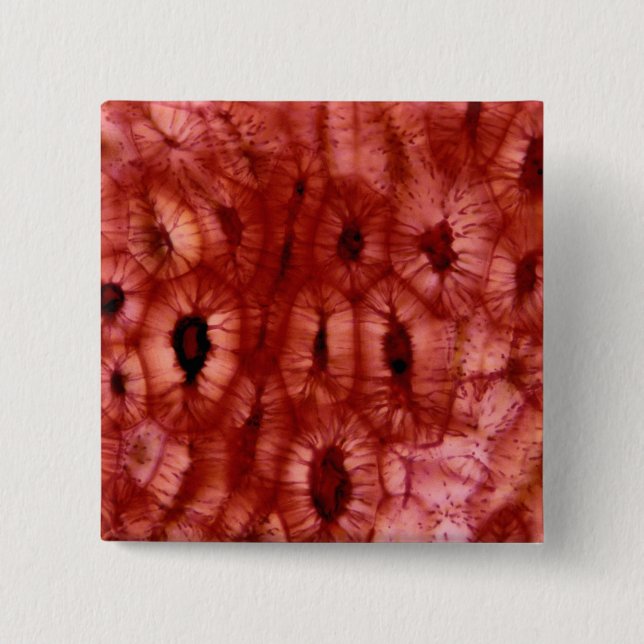 Sclerenchyma Cells from a Cherry Pit 15 Cm Square Badge (Front)