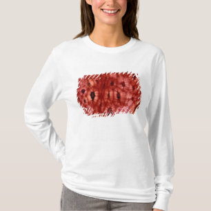 Sclerenchyma Cells from a Cherry Pit T-Shirt