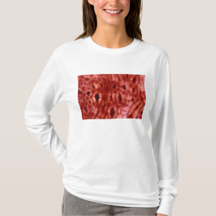 Sclerenchyma Cells from a Cherry Pit T-Shirt