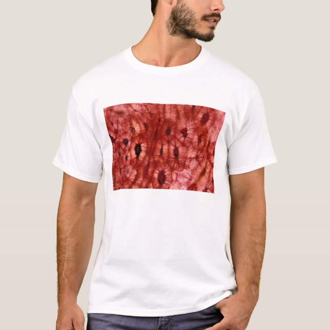 Sclerenchyma Cells from a Cherry Pit T-Shirt (Front)