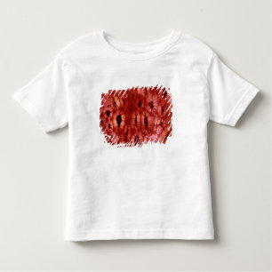Sclerenchyma Cells from a Cherry Pit Toddler T-Shirt