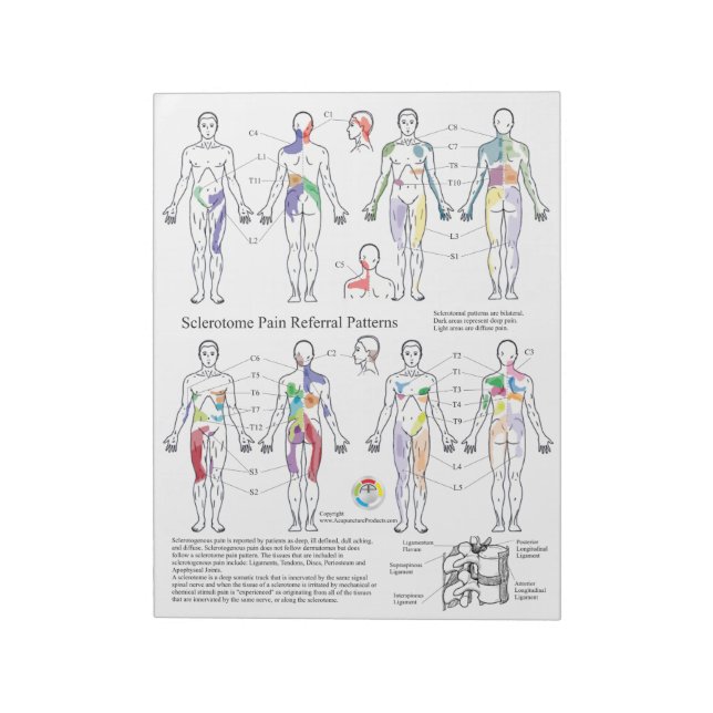 Sclerotome Pain Referral Handouts Notepad (Rotated)