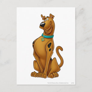 Scooby-Doo Airbrush Pose Postcard