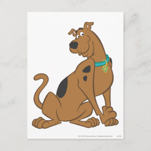 Scooby-Doo Bashful Pose Postcard