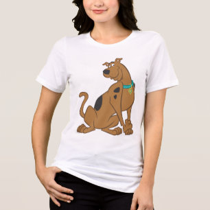 Scooby-Doo Bashful Pose Tri-Blend Shirt