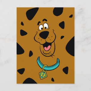 Scooby-Doo Camouflage Postcard