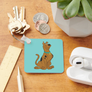 Scooby-Doo Cuter Than Cute Key Ring