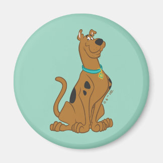 Scooby-Doo Cuter Than Cute Magnet