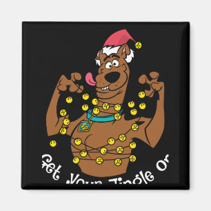 Scooby Doo Get Your Jingle On Magnet