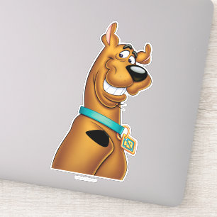Scooby-Doo Grin