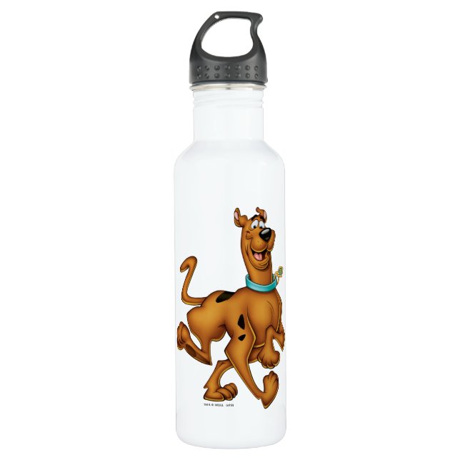 Scooby-Doo Happy Walk 710 Ml Water Bottle (Front)