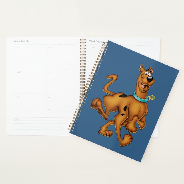 Scooby-Doo Happy Walk Planner (Display)