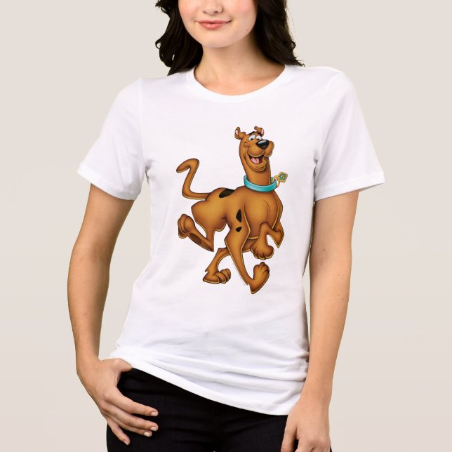 Scooby-Doo Happy Walk Tri-Blend Shirt (Front)