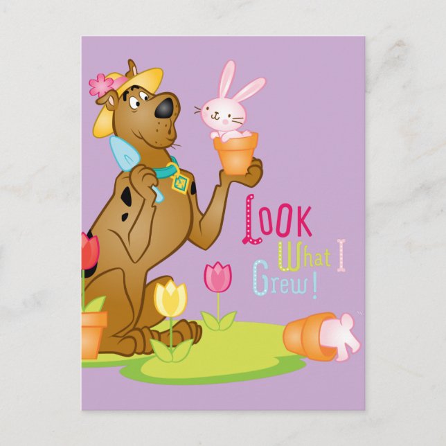Scooby Doo Look What I Grew Spring & Easter  Postcard (Front)