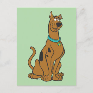 Scooby-Doo Puppy Eyes Postcard