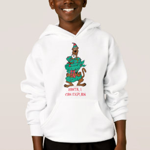 Scooby-Doo Wrapped In Wreaths