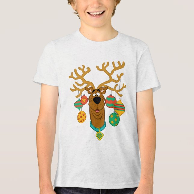 Scooby the Reindeer Tri-Blend Shirt (Front)