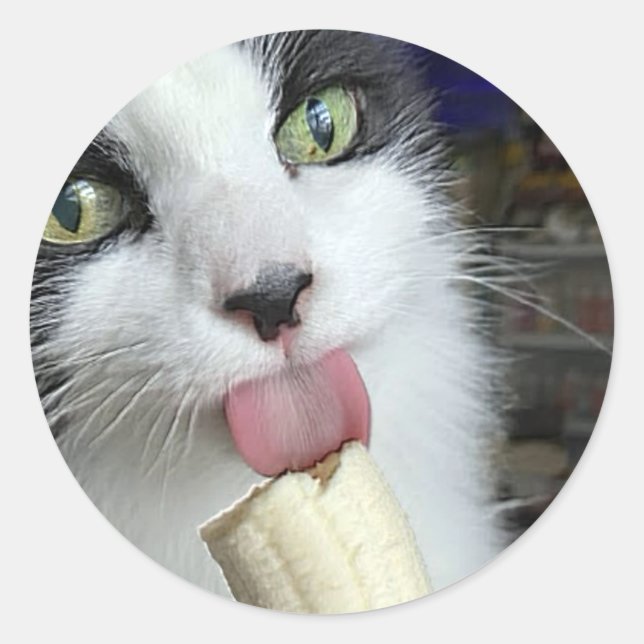 "Scooter with bananas snack" Classic Round Sticker (Front)