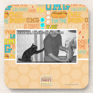 Scooz me, I believe that's mine Coaster