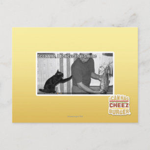 Scooz me, I believe that's mine Postcard