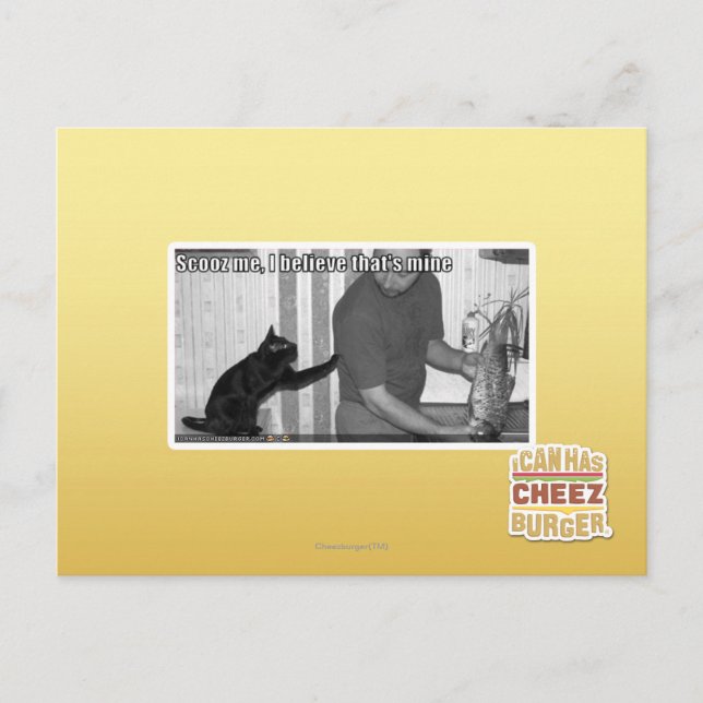 Scooz me, I believe that's mine Postcard (Front)