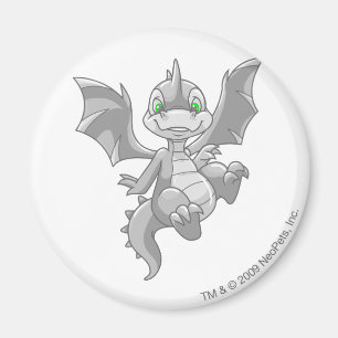 Scorchio Silver Magnet