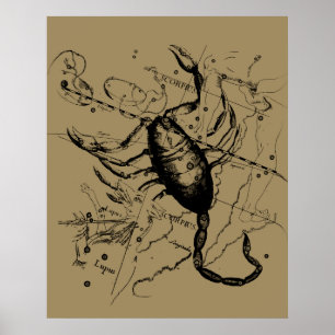 Scorpio Constellation Hevelius 1690 Decor
