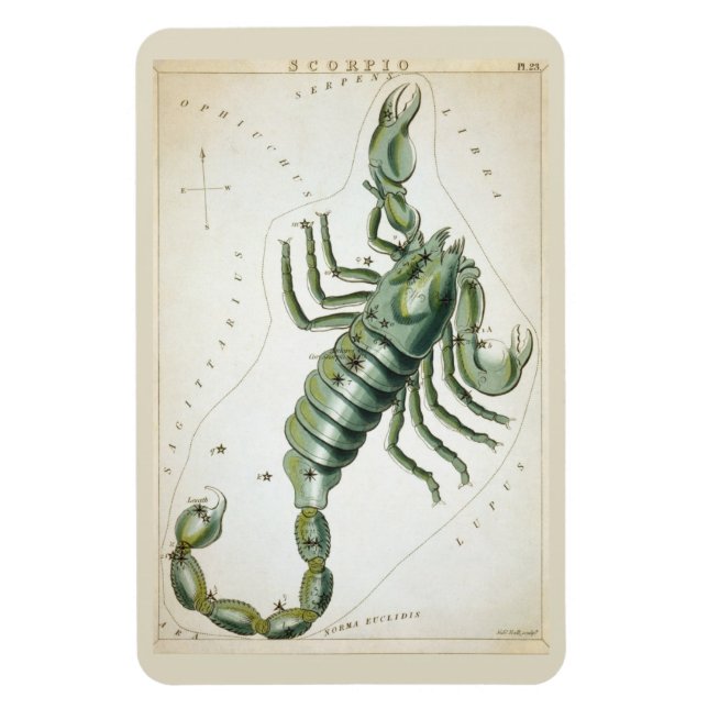 Scorpio Constellation Magnet (Vertical)