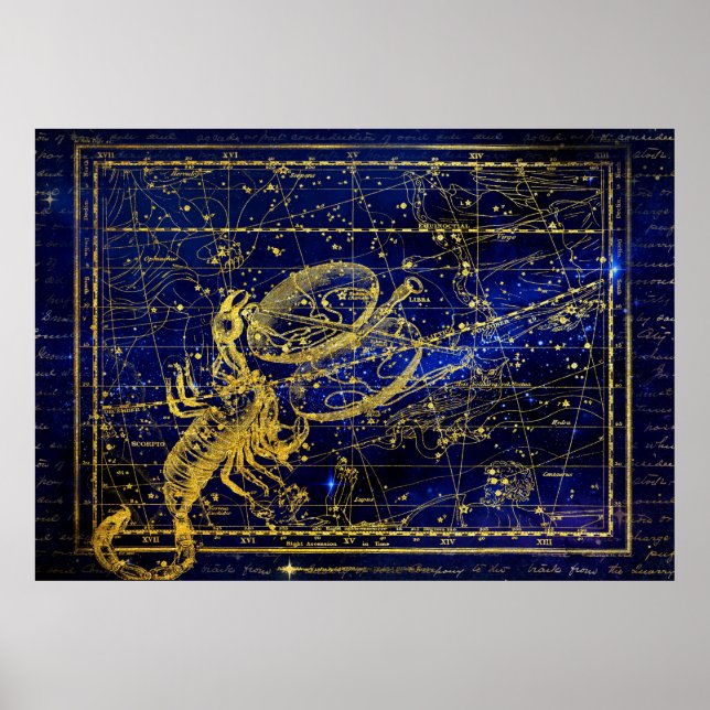 scorpio constellation poster (Front)