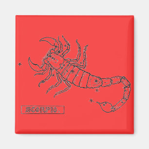 Scorpio Magnet