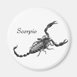 Scorpio Magnet