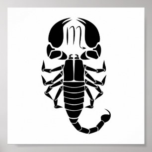 scorpio scorpion astrology zodiac horoscope poster