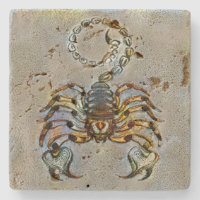 Scorpio Venice