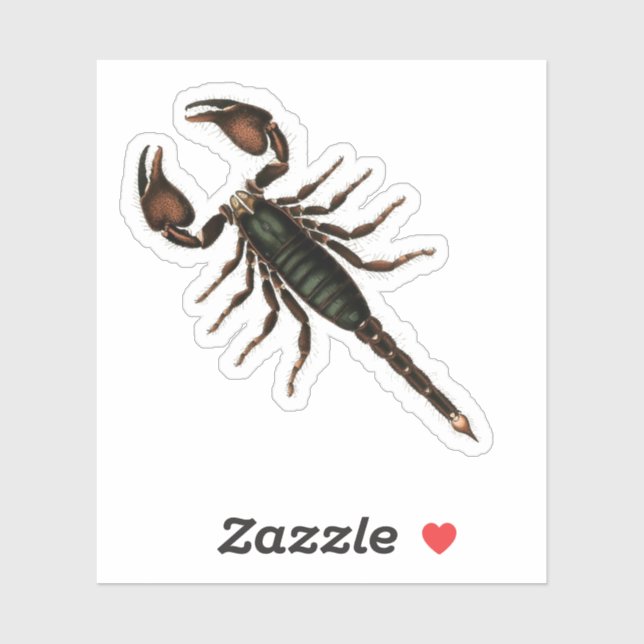 Scorpion! (Sheet)