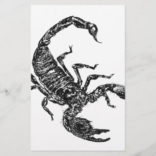 Scorpion
