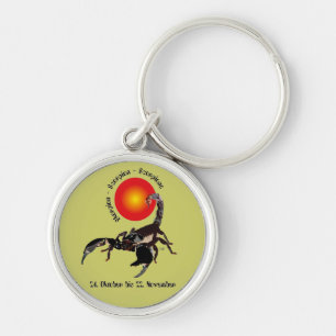 Scorpion 24. Oct 22 Nov Key Trailers Ring