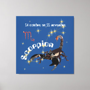 Scorpion 24 oct. au 22 nov. Impression sur toile Canvas Print