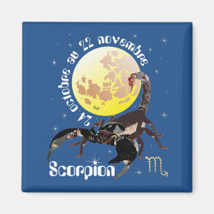 Scorpion 24 octobre au 22 novembre Magnet