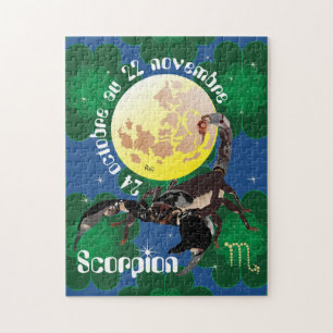 Scorpion 24 octobre au 22 novembre Puzzle