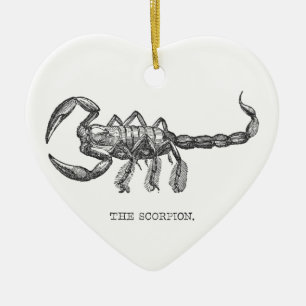 Scorpion animal gift scary animals ceramic tree decoration