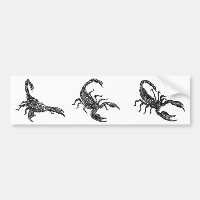 Scorpion Bumper Sticker (Front)