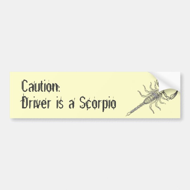 Scorpion Bumper Sticker (Front)