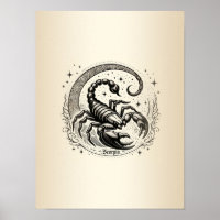Scorpion Crescent Moon Astrology Zodiac Scorpio