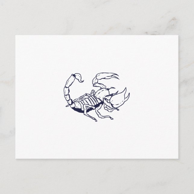 Scorpion Hand Drawn Outline Postcard (Front)