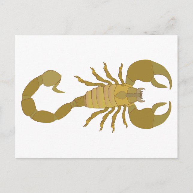 Scorpion Holiday Postcard (Front)